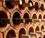 Importadores de Vinos