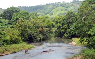 provincia hato mayor