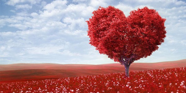 Celebré el Día de San Valentín rodeada de amor