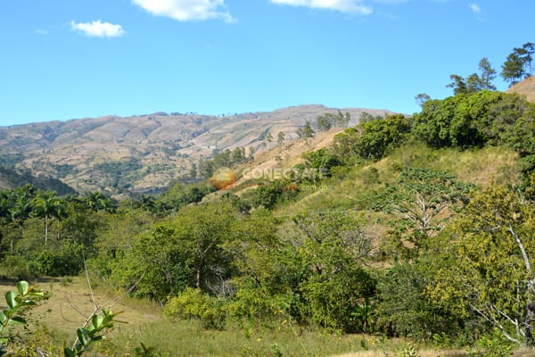 Juan Santiago