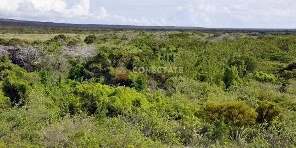 Parque-Nacional-Jaragua