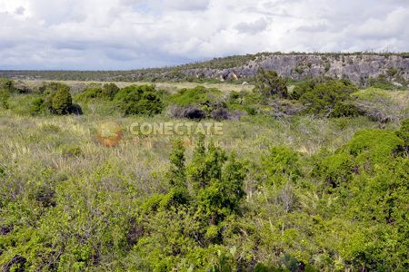 consejos perderse en el bosque