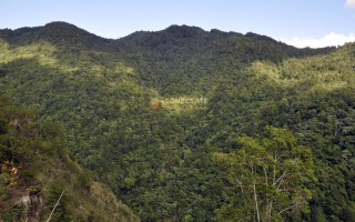 Reserva Científica Ébano Verde