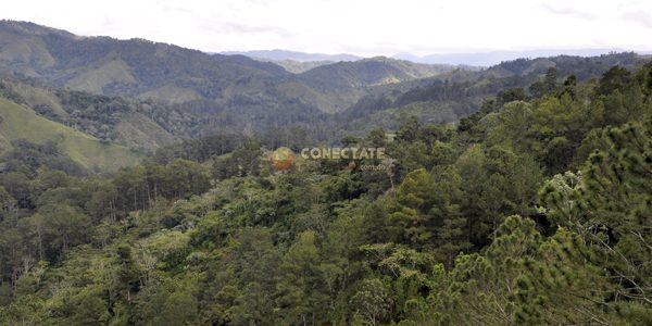 Reserva Científica Ébano Verde