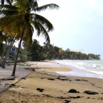 Las Terrenas Samaná