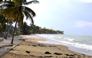 Las Terrenas Samaná