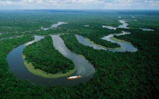 Amazonas
