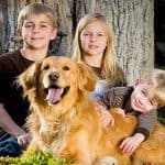 Mejores Razas de Perros para Niños