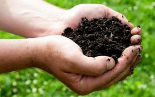 Día Mundial de la Conservación del Suelo