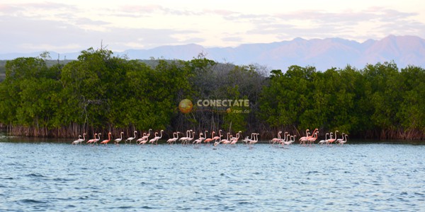 Bahia de Las Calderas