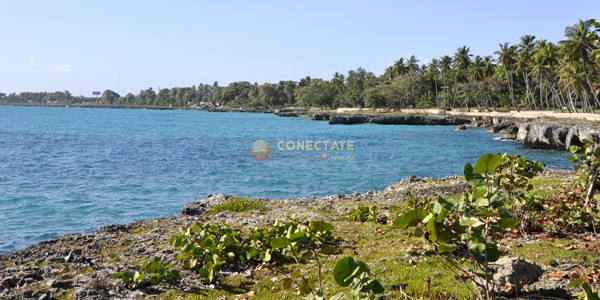  Parque Nacional Submarino La Caleta