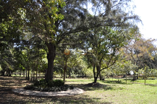 Parque Mirador del Sur