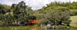 Jardín Botánico Nacional