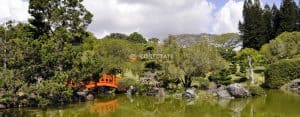 Jardín Botánico Nacional