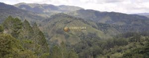Reserva Científica Ébano Verde