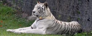 Parque Zoológico Nacional