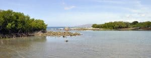 Playa Caracoles