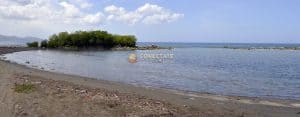 Playa Caracoles