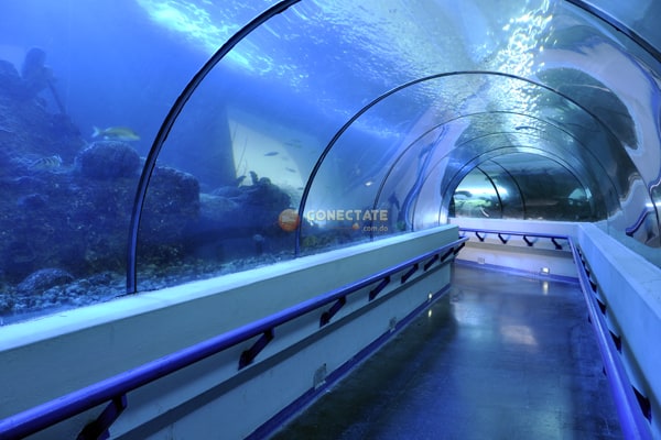 Acuario Nacional