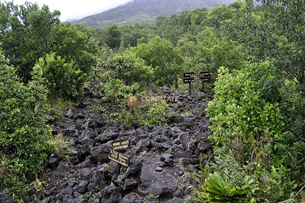 Parque Nacional Volcán Arenal