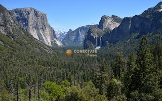 Yosemite National Park