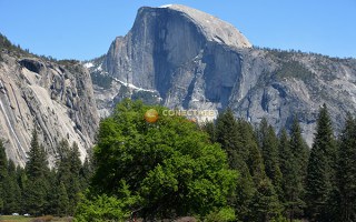 Yosemite National Park