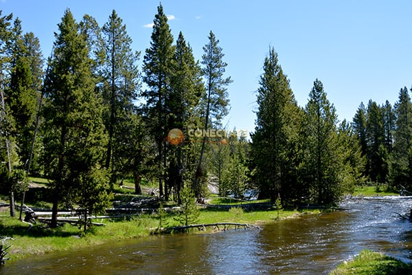 Yellowstone National Park