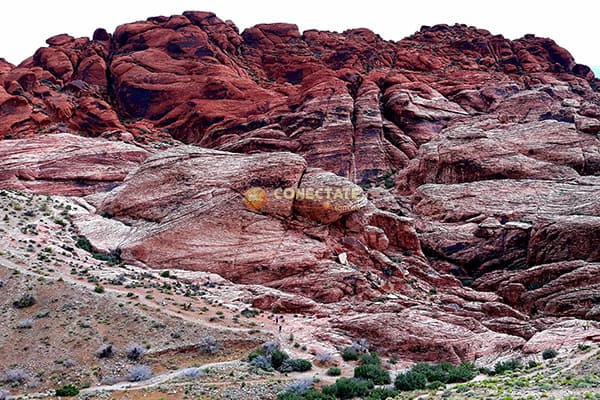 Red Rock Canyon