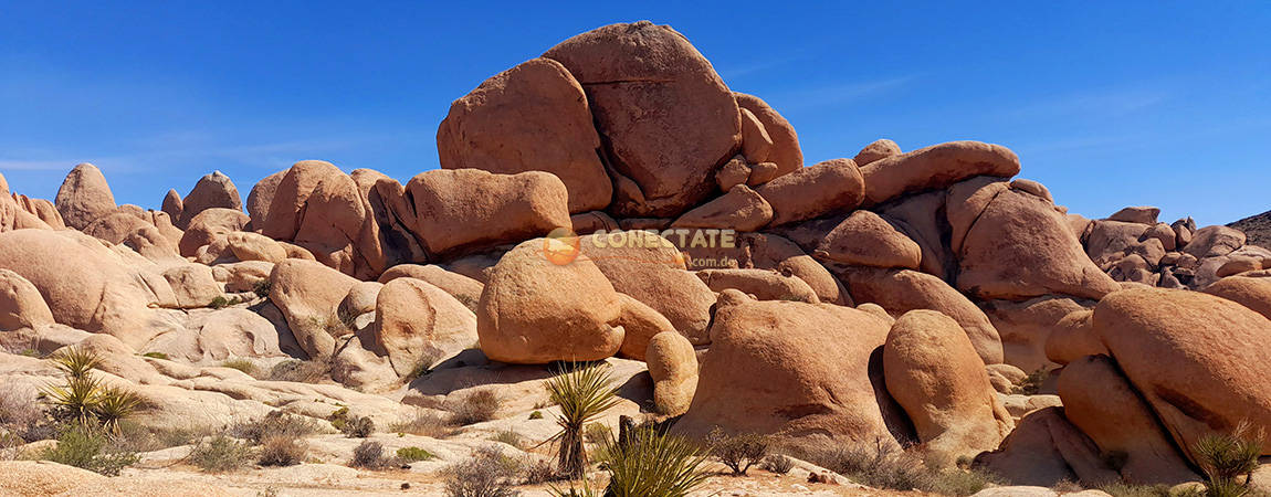 Joshua Tree National Park