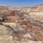 Petrified Forest National Park