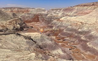 Petrified Forest National Park