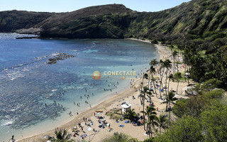 Hawái