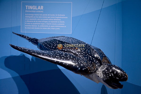 Museo Nacional de Historia Natural