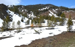 Sawtooth National Forest