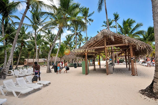 Isla Saona