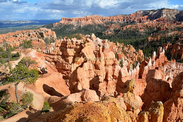 Bryce Canyon National Park4