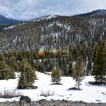 Sawtooth National Forest