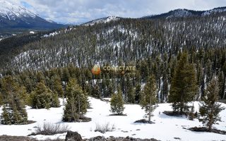Sawtooth National Forest
