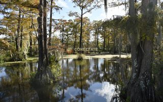 Louisiana