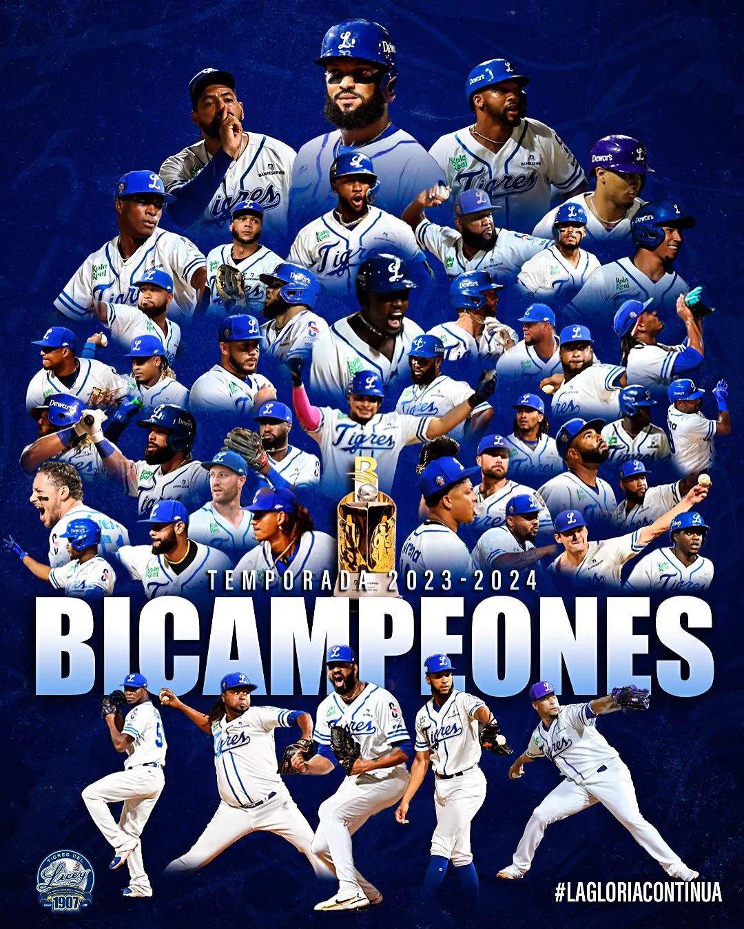 Listado de Campeones del Béisbol Invernal Dominicano