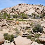 Joshua Tree National Park