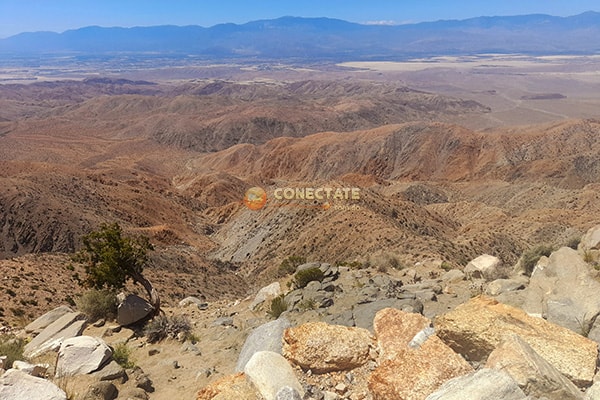 Joshua Tree National Park