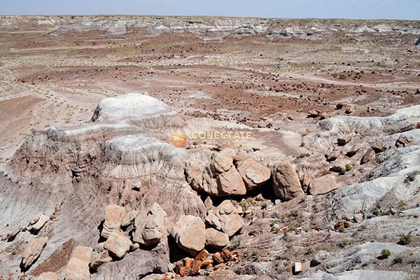 Petrified Forest National Park