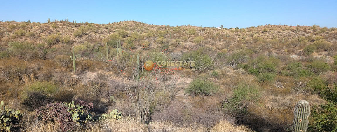 Chiricahua National Monument