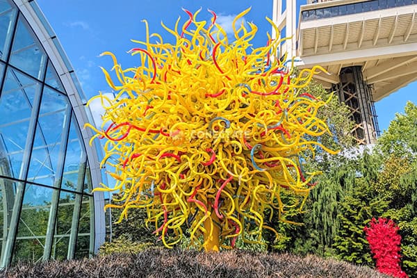 Chihuly Garden and Glass 