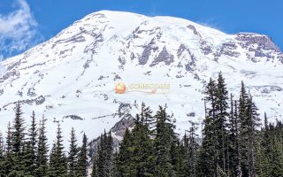 Mount Rainier National Park