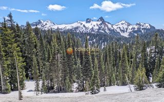 Mount Rainier National Park