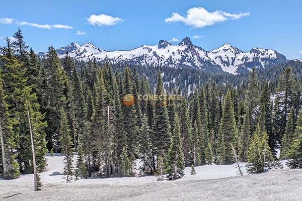 Mount Rainier National Park