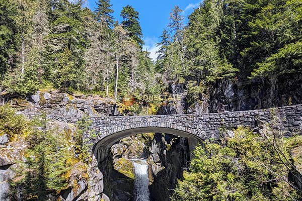 Mount Rainier National Park