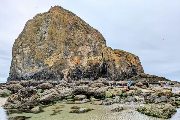 Haystack Rock